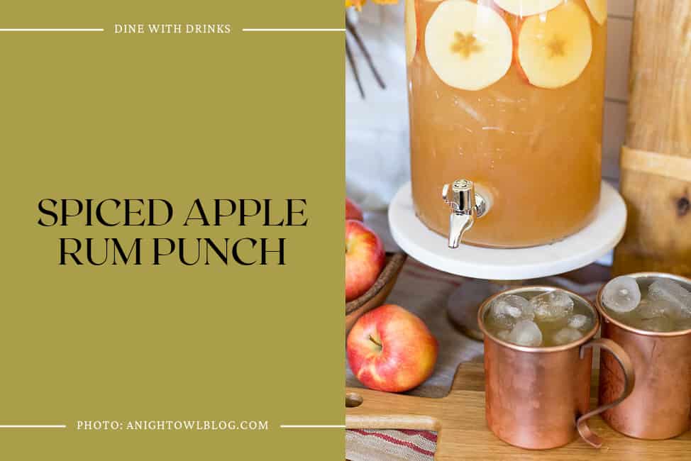 Spiced Apple Rum Punch