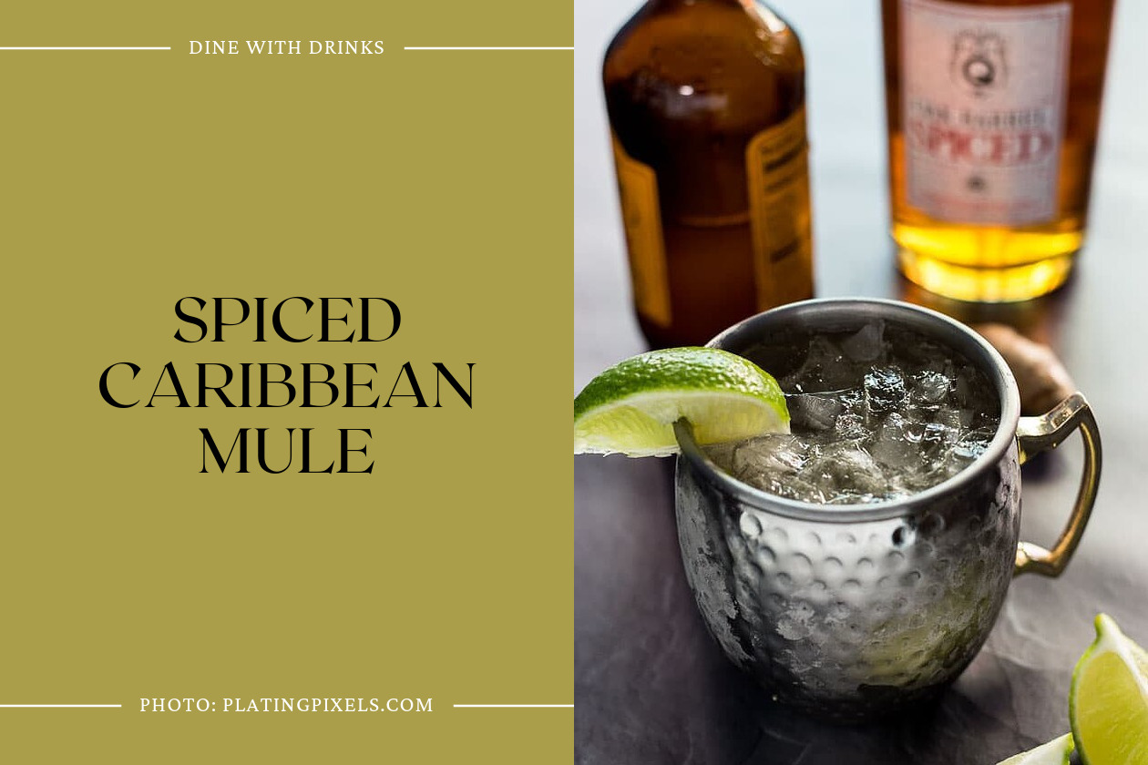 Spiced Caribbean Mule