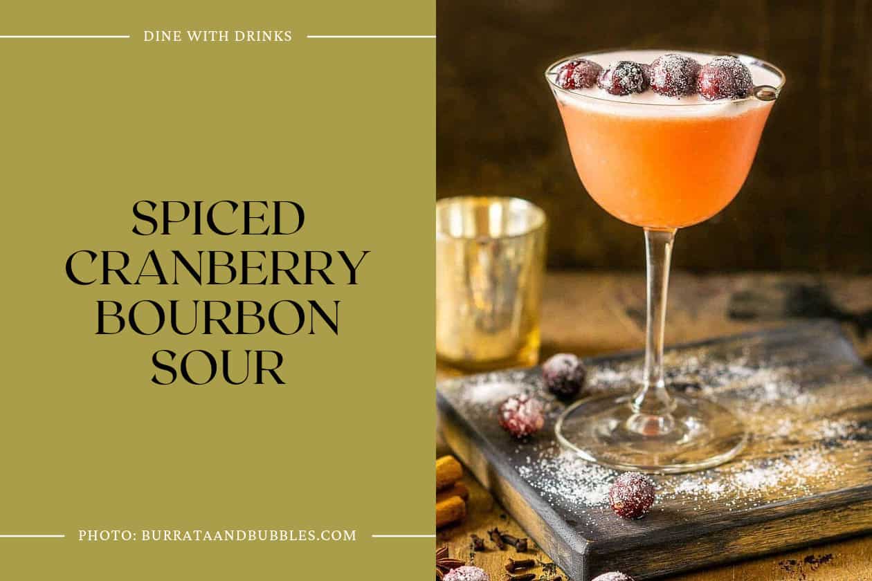 Spiced Cranberry Bourbon Sour