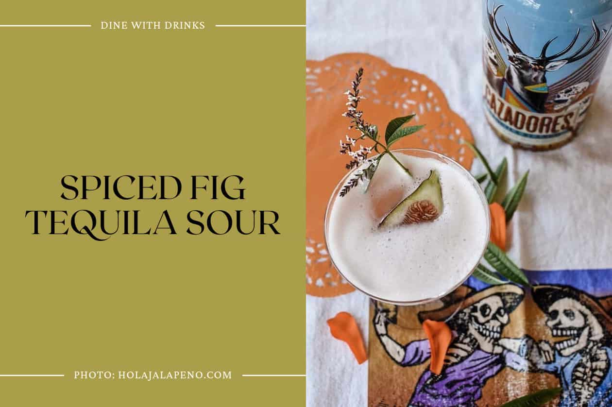 Spiced Fig Tequila Sour