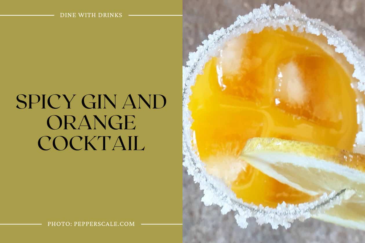 Spicy Gin And Orange Cocktail