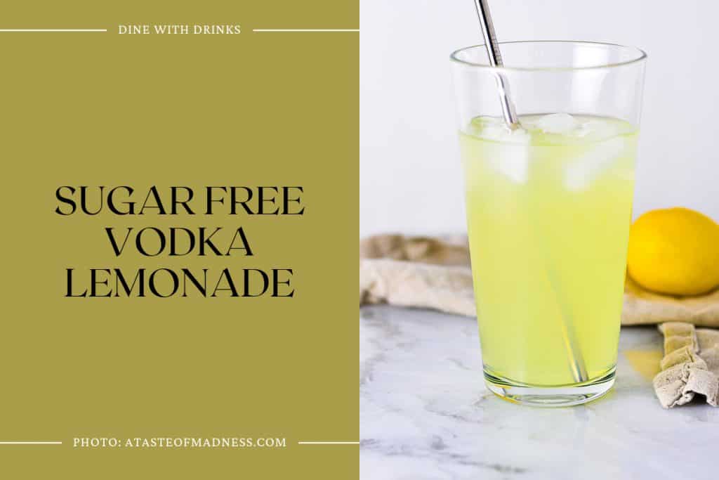 28 Sugar Free Vodka Cocktails Lose the Sugar, Not the Fun
