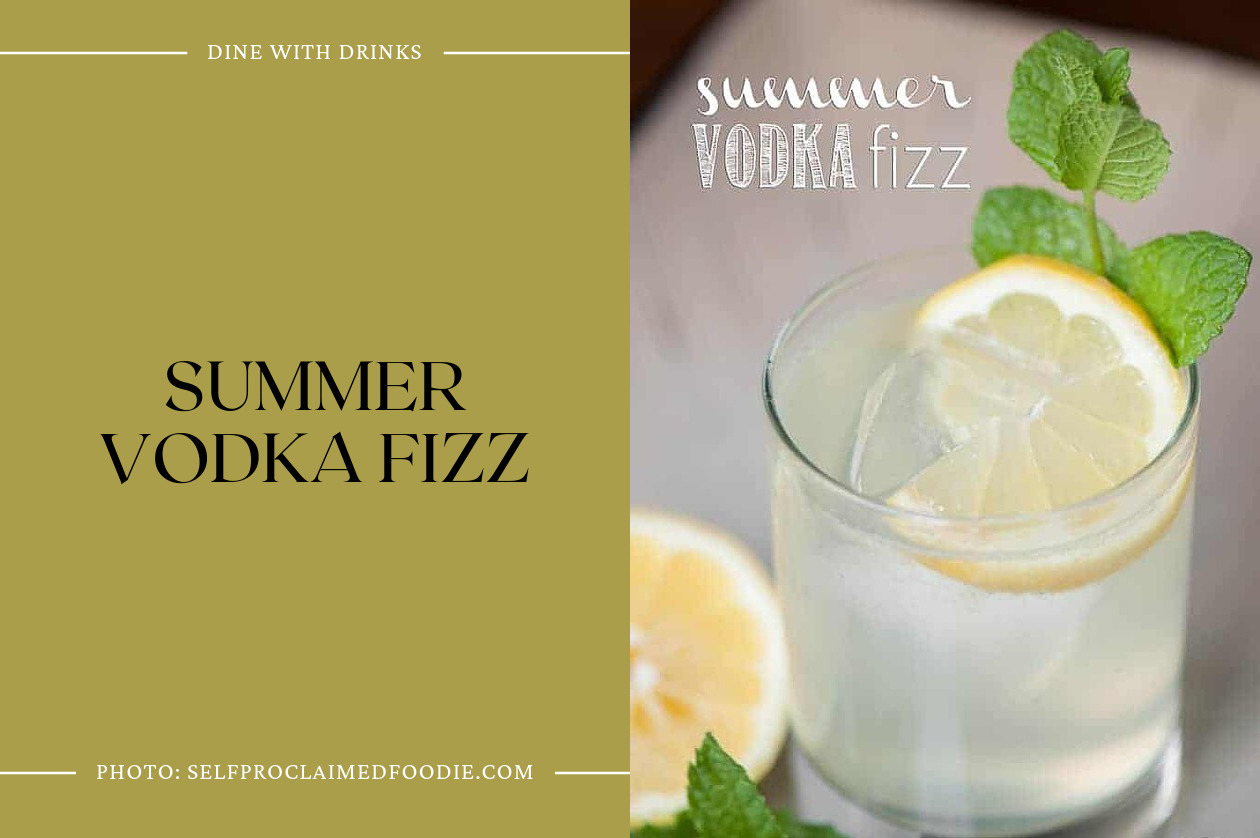 Summer Vodka Fizz