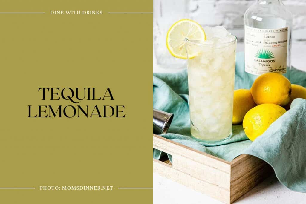 26 Tequila Lemon Cocktails to Shake Up Your Summer DineWithDrinks
