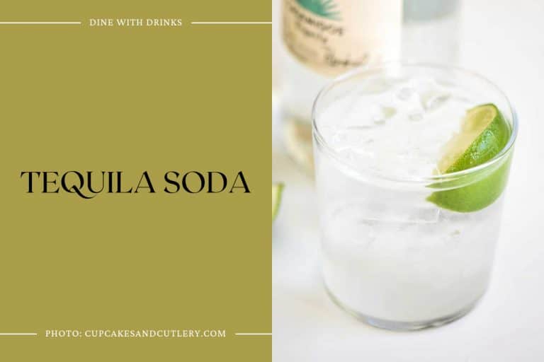 33 Club Soda Cocktails That Will Fizz Up Your Night! DineWithDrinks