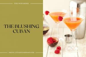 30 Raspberry Liqueur Cocktails You'll Fall in Love With! | DineWithDrinks