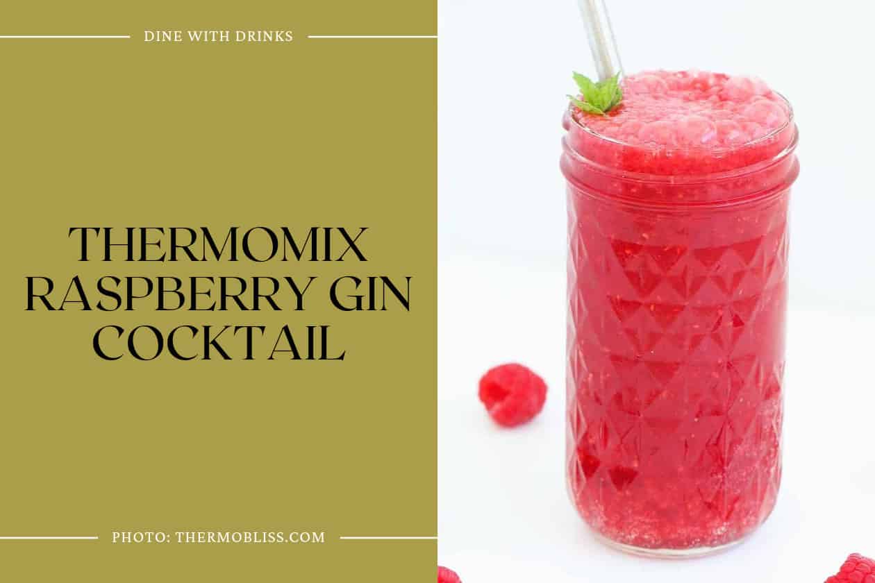 Thermomix Raspberry Gin Cocktail