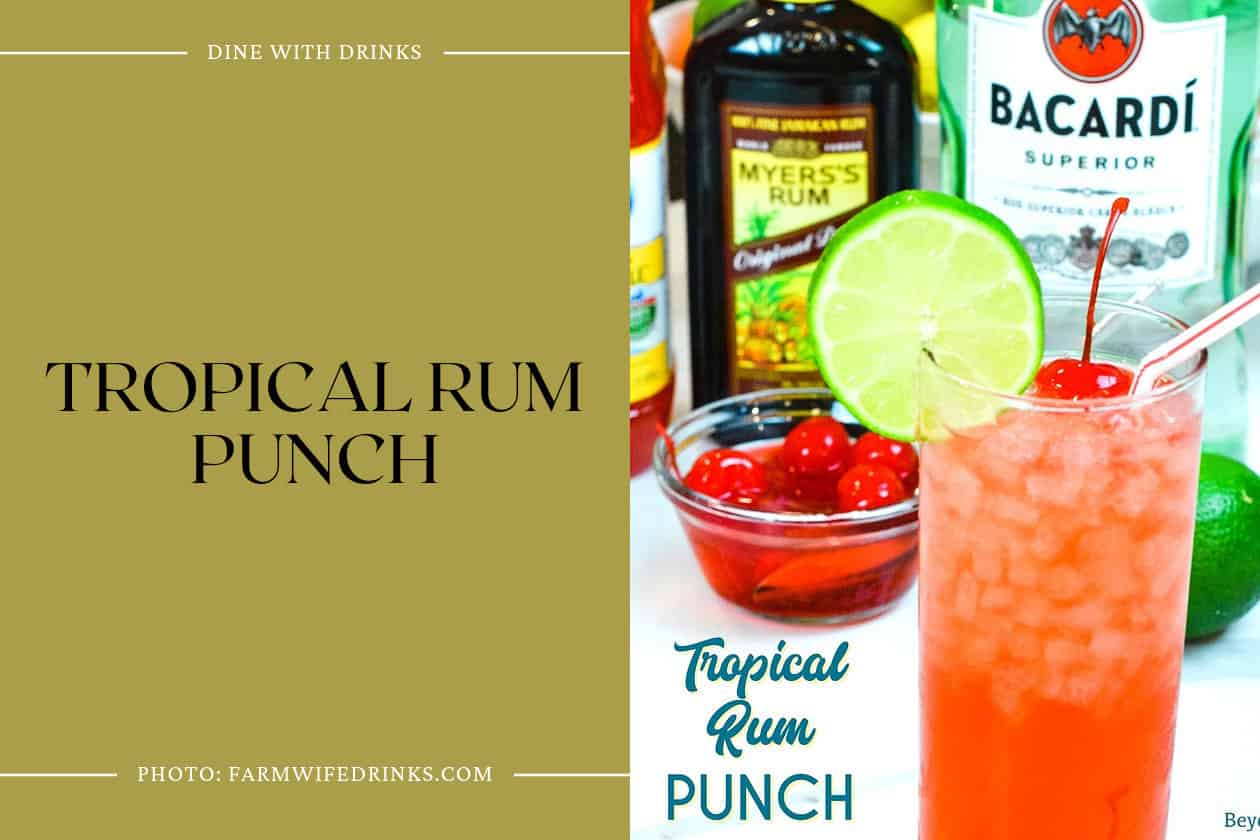 Tropical Rum Punch