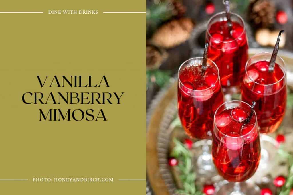 23 Vanilla Vodka Christmas Cocktails to Jingle Your Bells! DineWithDrinks