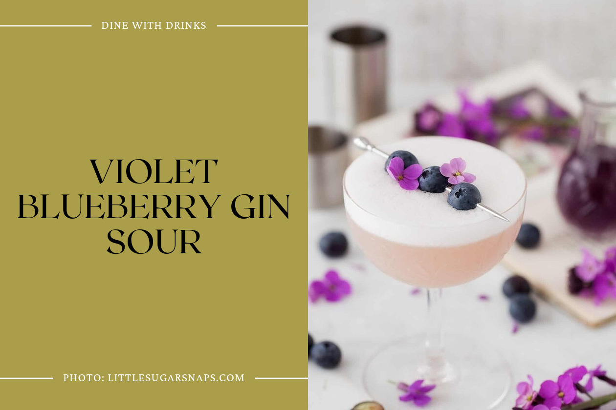 Violet Blueberry Gin Sour