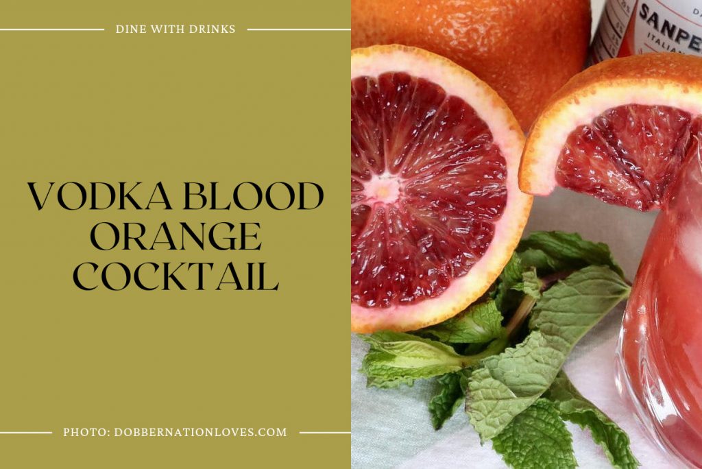 29 Vodka Orange Juice Cocktails to Raise Your Spirits! DineWithDrinks