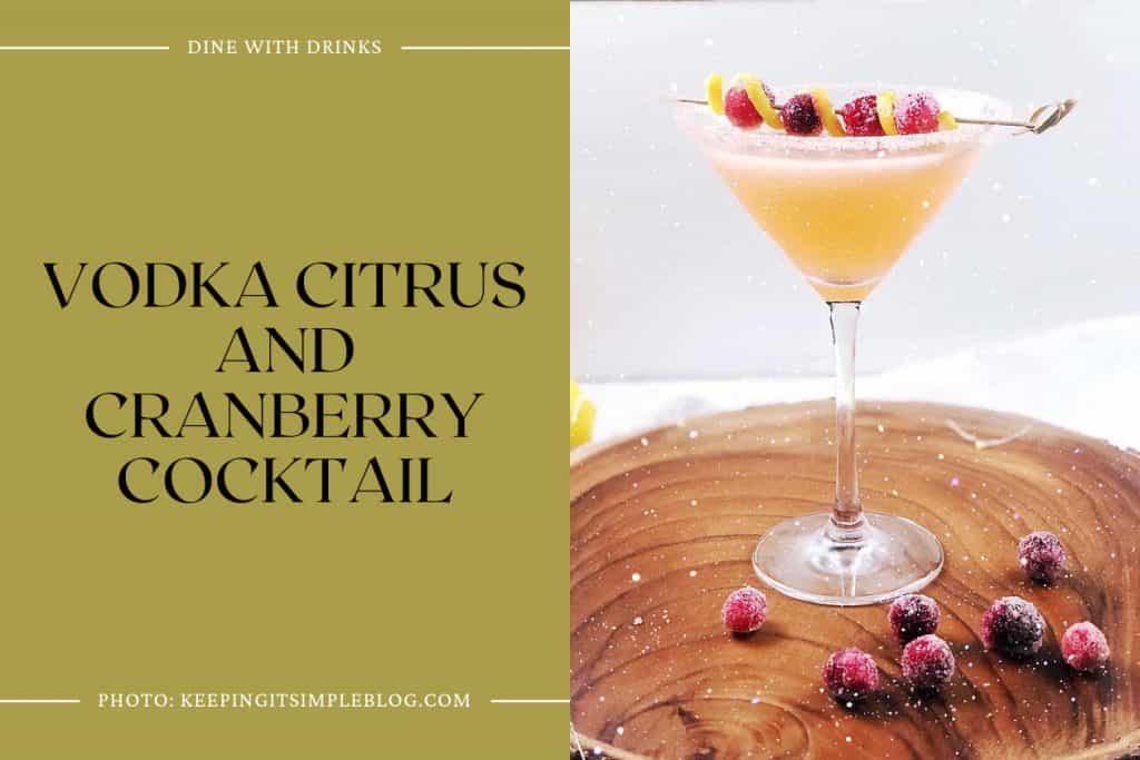 33 Cranberry Cocktails That Will Satisfy Your Thirsty Soul   Vodka Citrus And Cranberry Cocktail 2 1024x683 