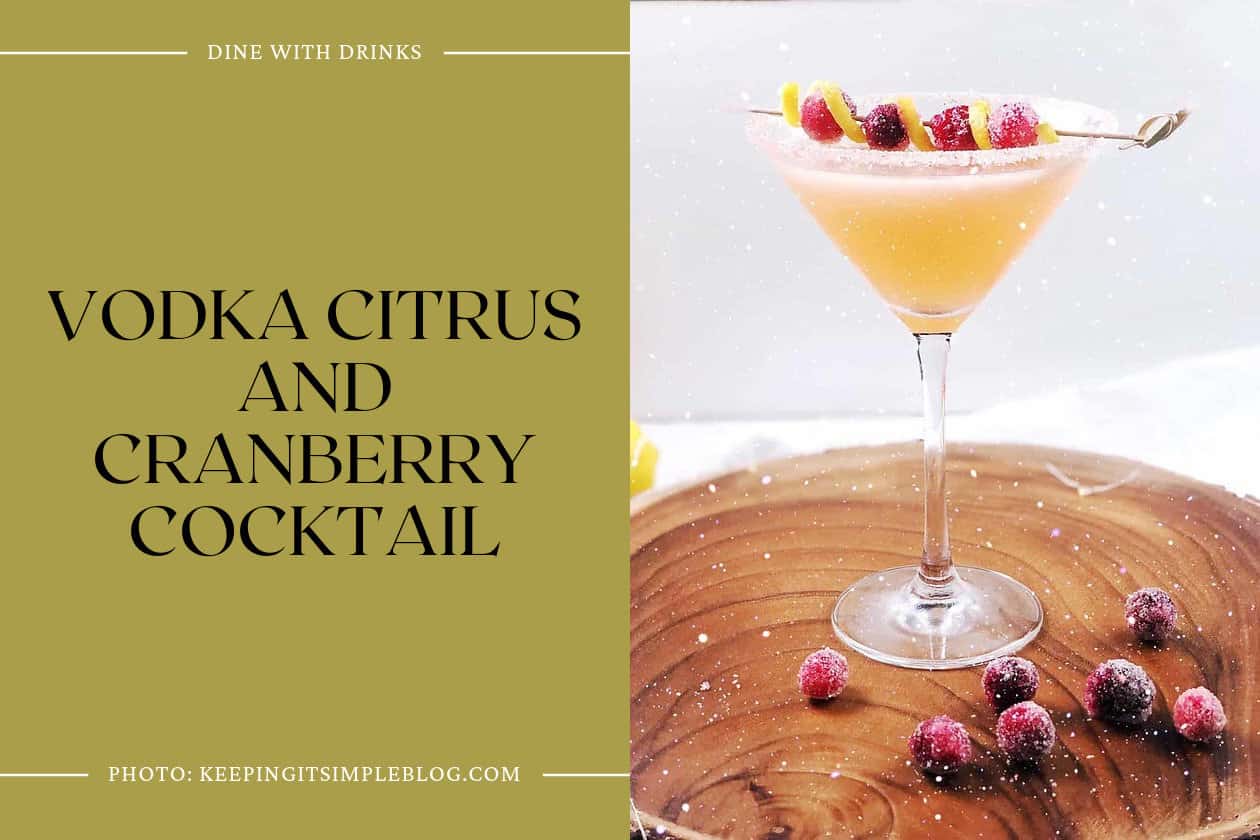 Vodka Citrus And Cranberry Cocktail