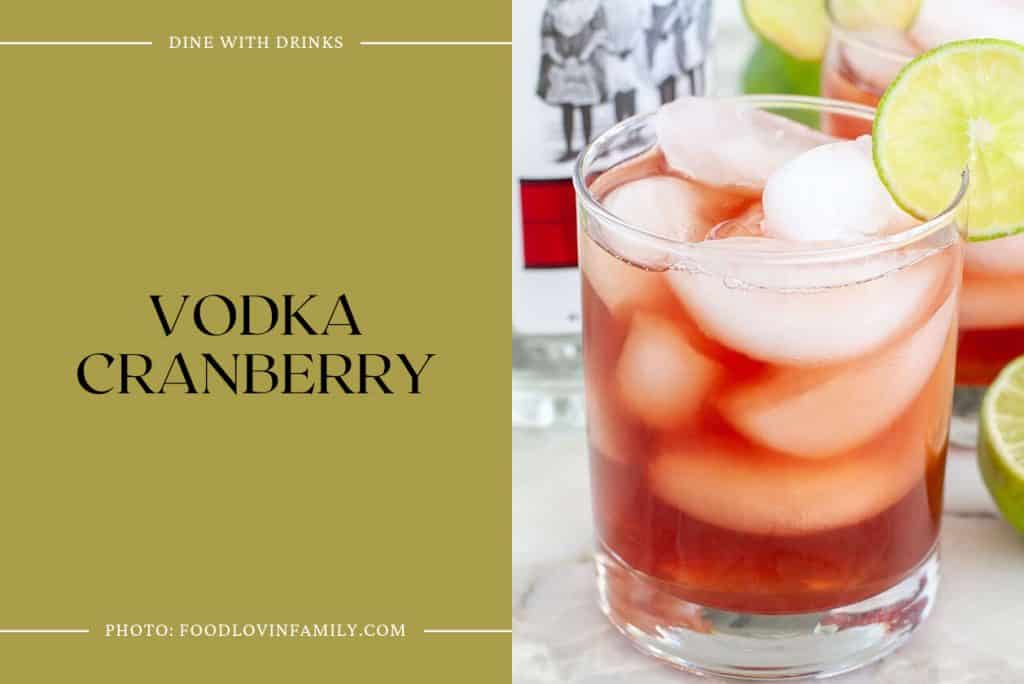 32 Vodka and Cranberry Cocktails to Shake Up Your Nightlife! DineWithDrinks