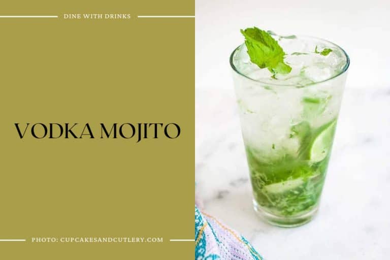 30 Vodka Refreshing Cocktails to Shake Up Your Summer! DineWithDrinks