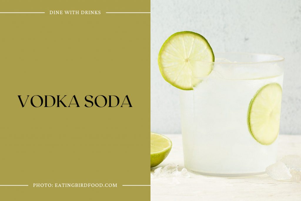 20 Vodka Club Soda Cocktails to Shake Up Your Night! DineWithDrinks