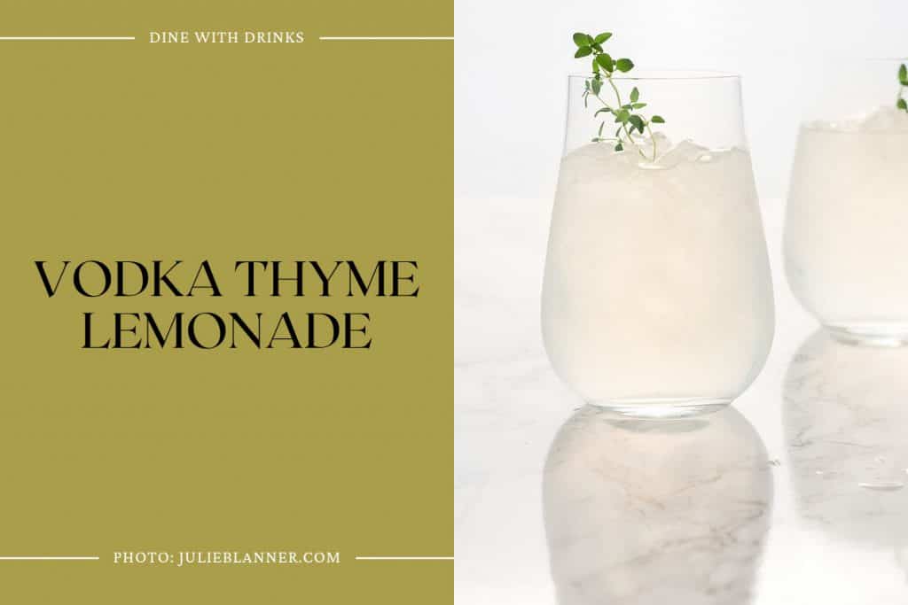 27 Vodka Lemonade Cocktails to Sip in the Sun! DineWithDrinks
