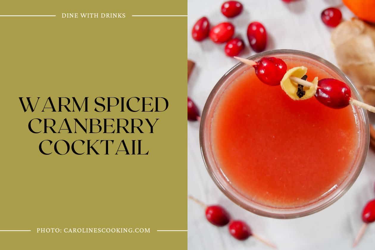 Warm Spiced Cranberry Cocktail