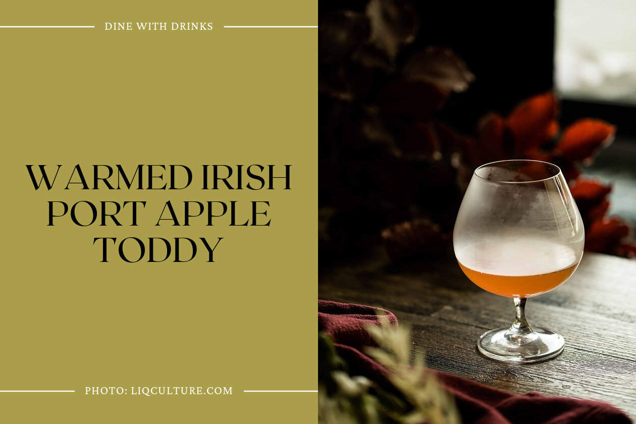 Warmed Irish Port Apple Toddy