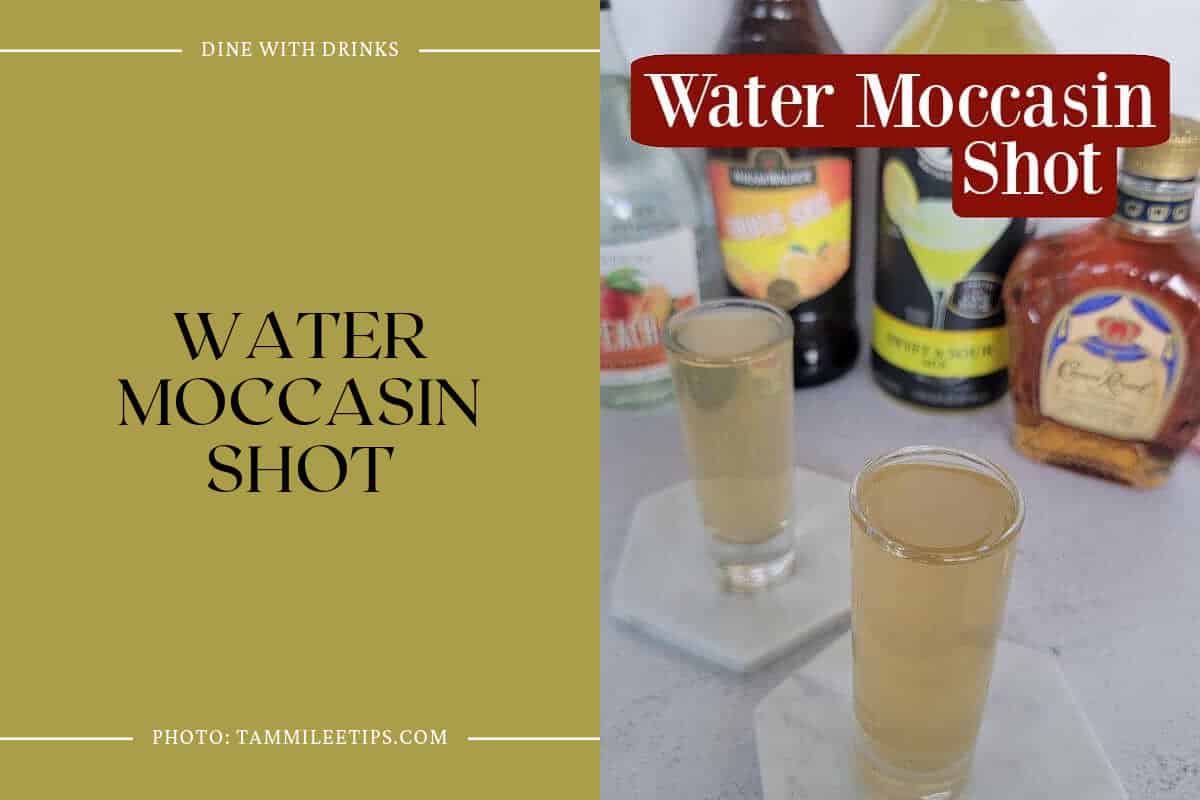 Water Moccasin Shot