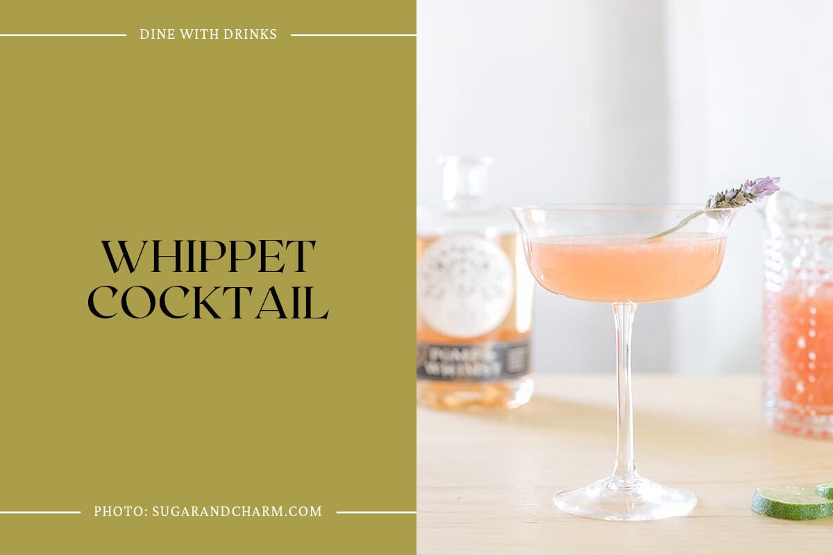 Whippet Cocktail