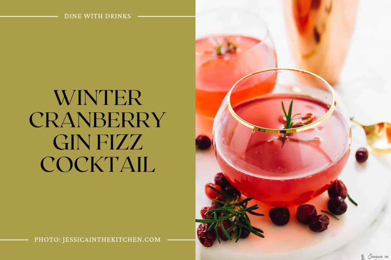 Winter Cranberry Gin Fizz Cocktail