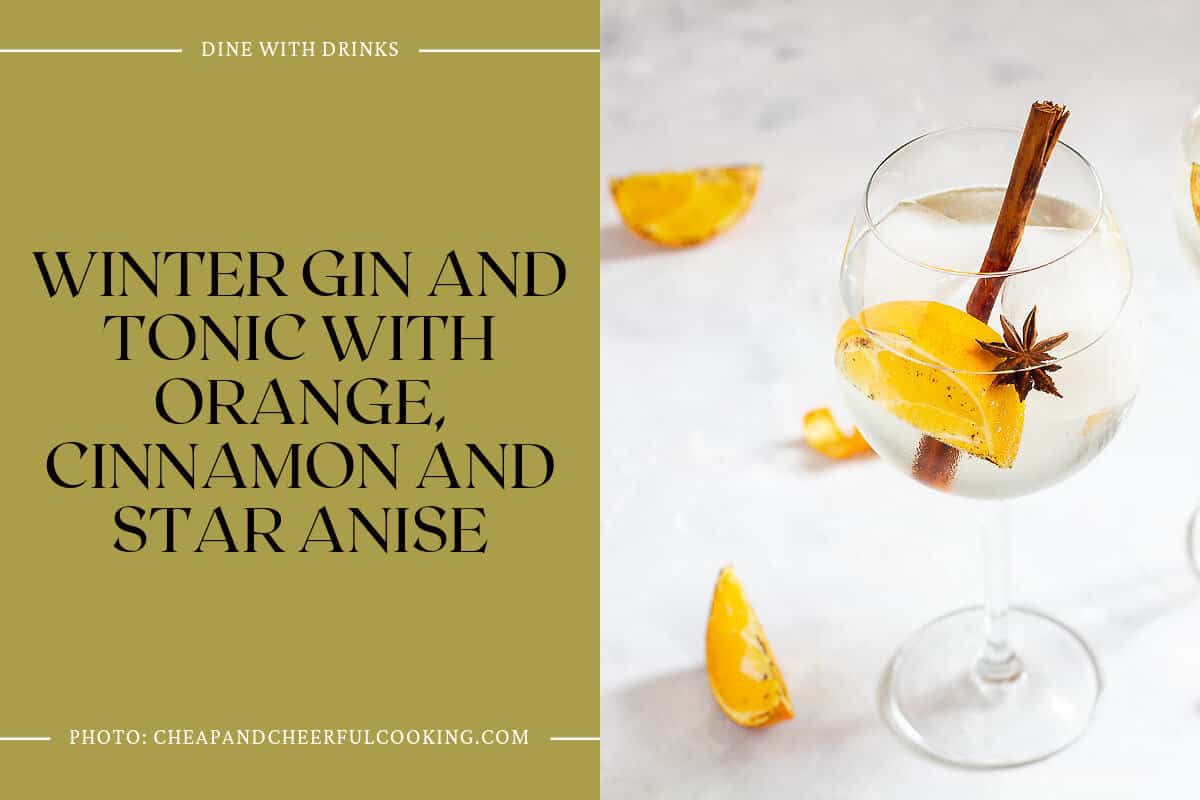 Winter Gin And Tonic With Orange, Cinnamon And Star Anise