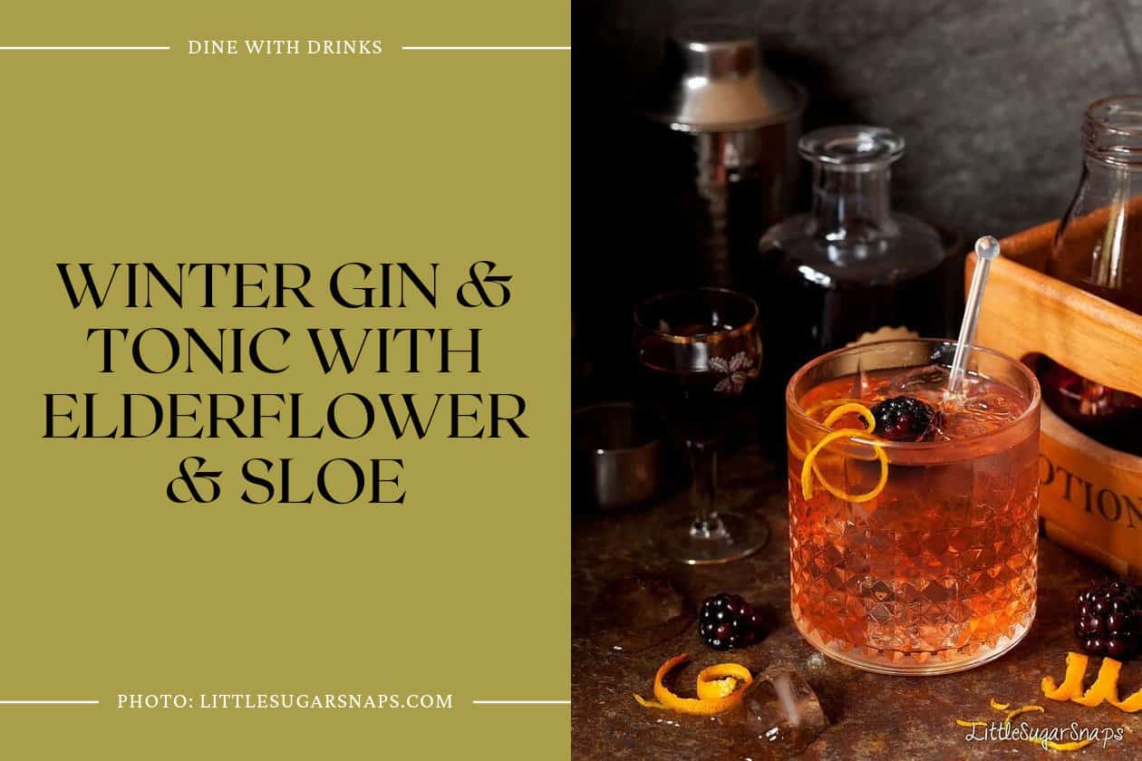 Winter Gin & Tonic With Elderflower & Sloe