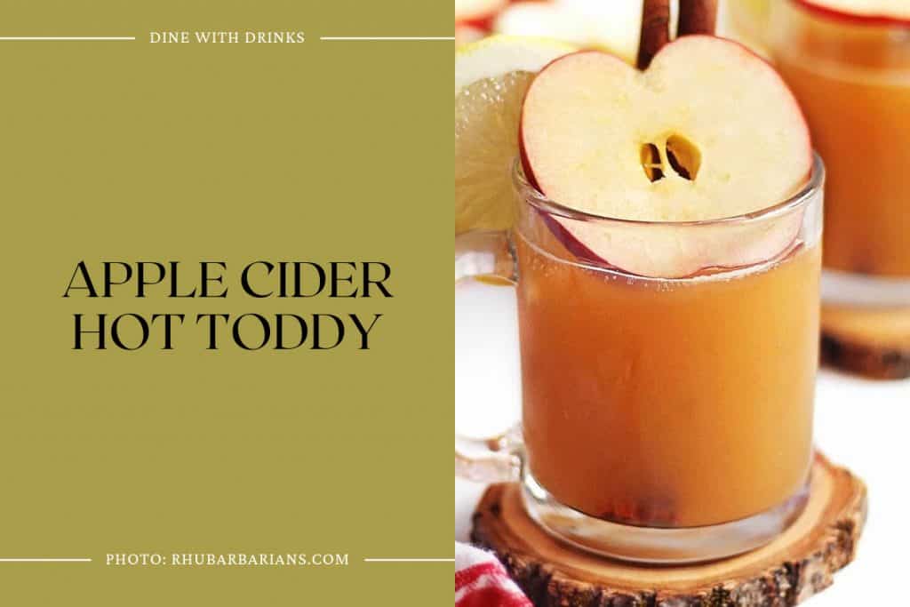 29 Hot Apple Cider Cocktails to Spice Up Your Night! DineWithDrinks