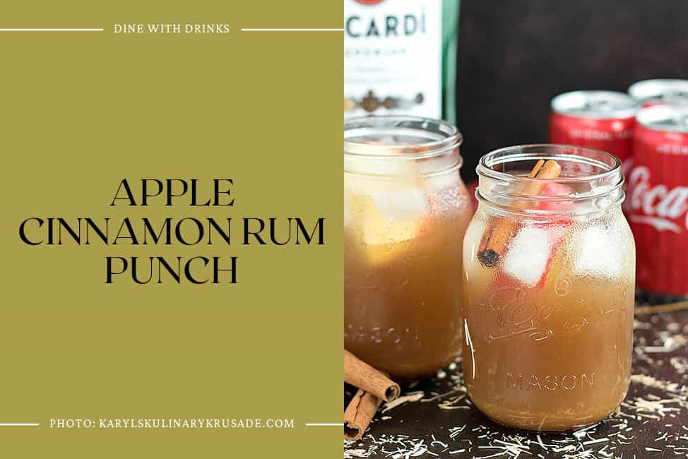 Apple Cinnamon Rum Punch
