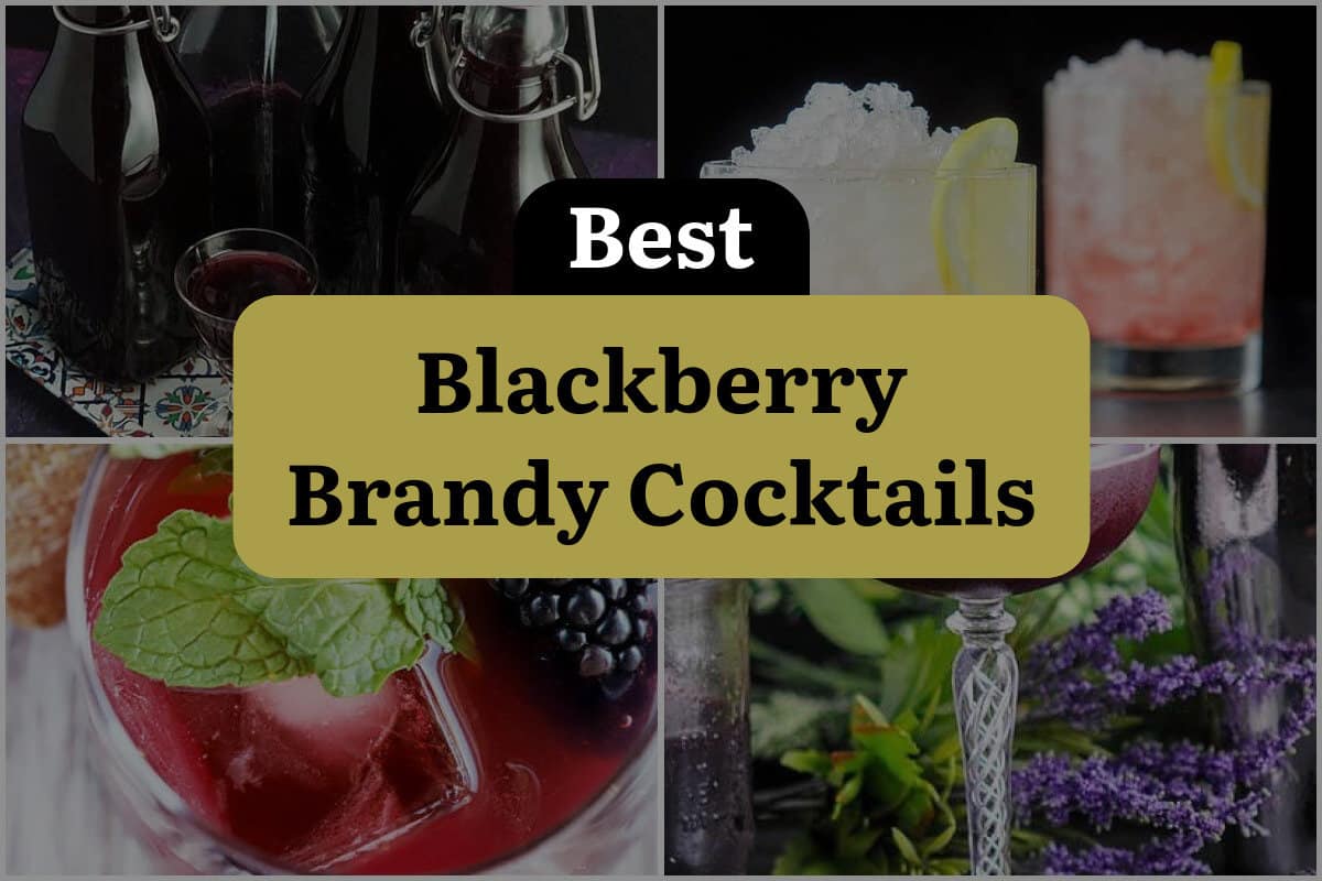 11 Best Blackberry Brandy Cocktails
