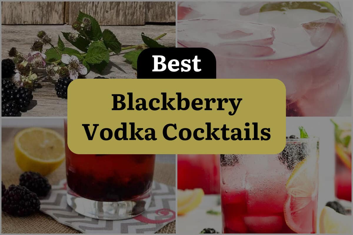 28 Best Blackberry Vodka Cocktails