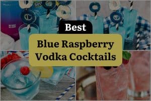 11 Best Blue Raspberry Vodka Cocktails