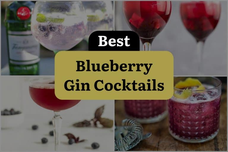 17 Blueberry Gin Cocktails That Will Blow Your Mind! | DineWithDrinks