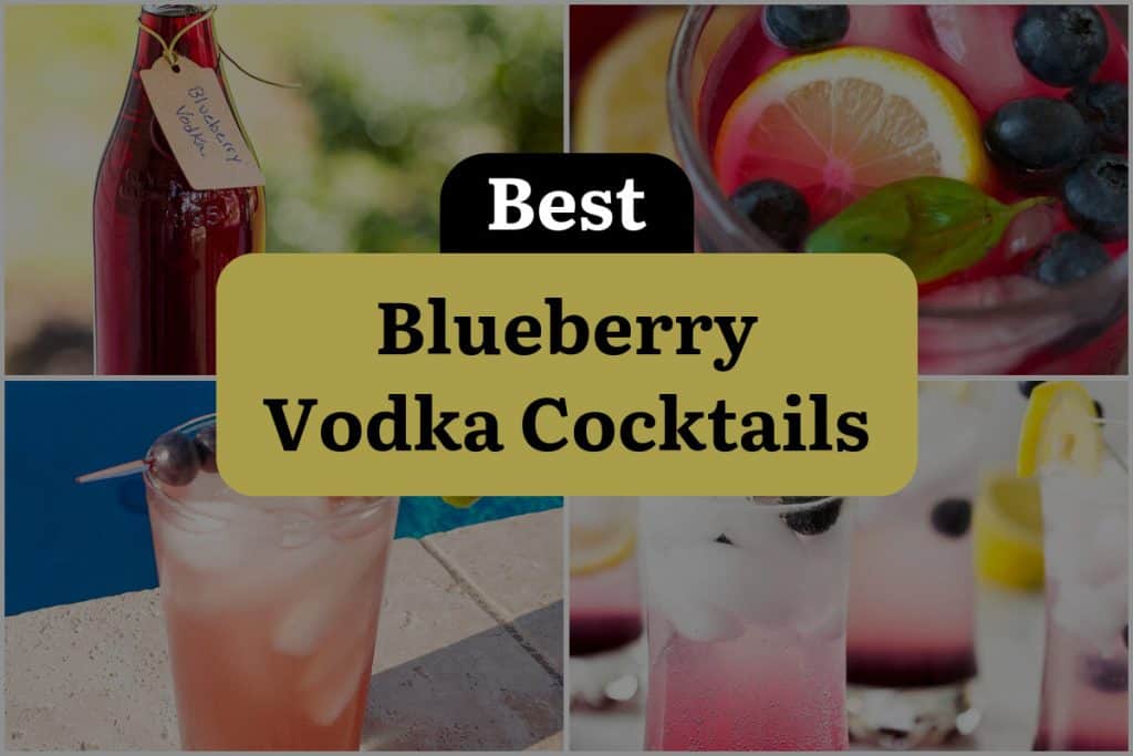 28 Blueberry Vodka Cocktails that are Berrylicious and Boozy