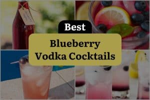 28 Best Blueberry Vodka Cocktails