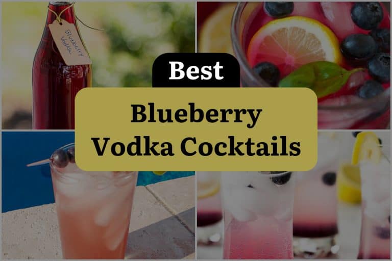 28 Blueberry Vodka Cocktails that are Berrylicious and Boozy