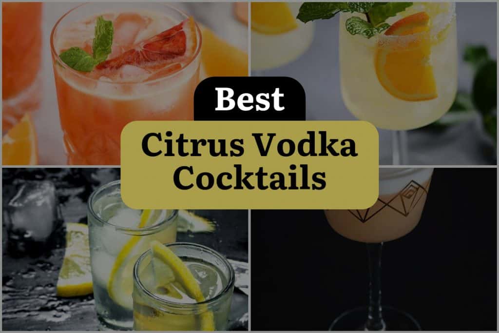 35 Citrus Vodka Cocktails to Sip and Savor All Summer Long DineWithDrinks