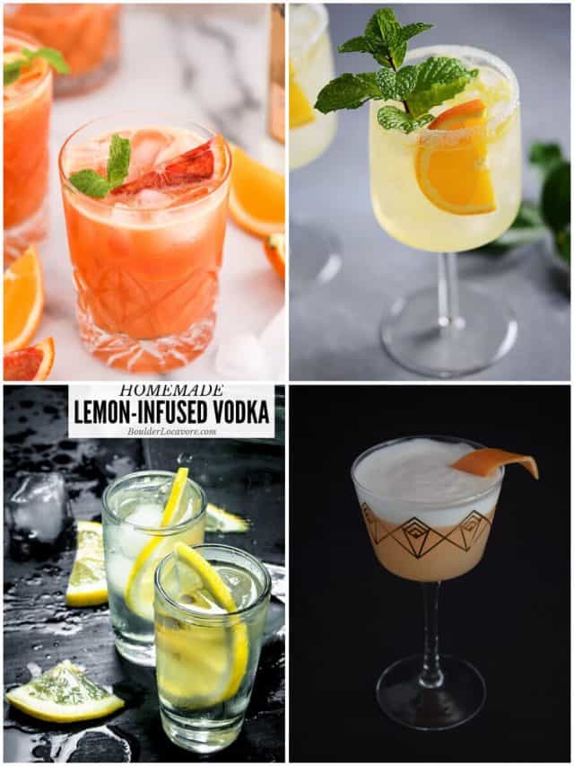 26 Citrus Vodka Cocktails To Sip And Savor All Summer Long