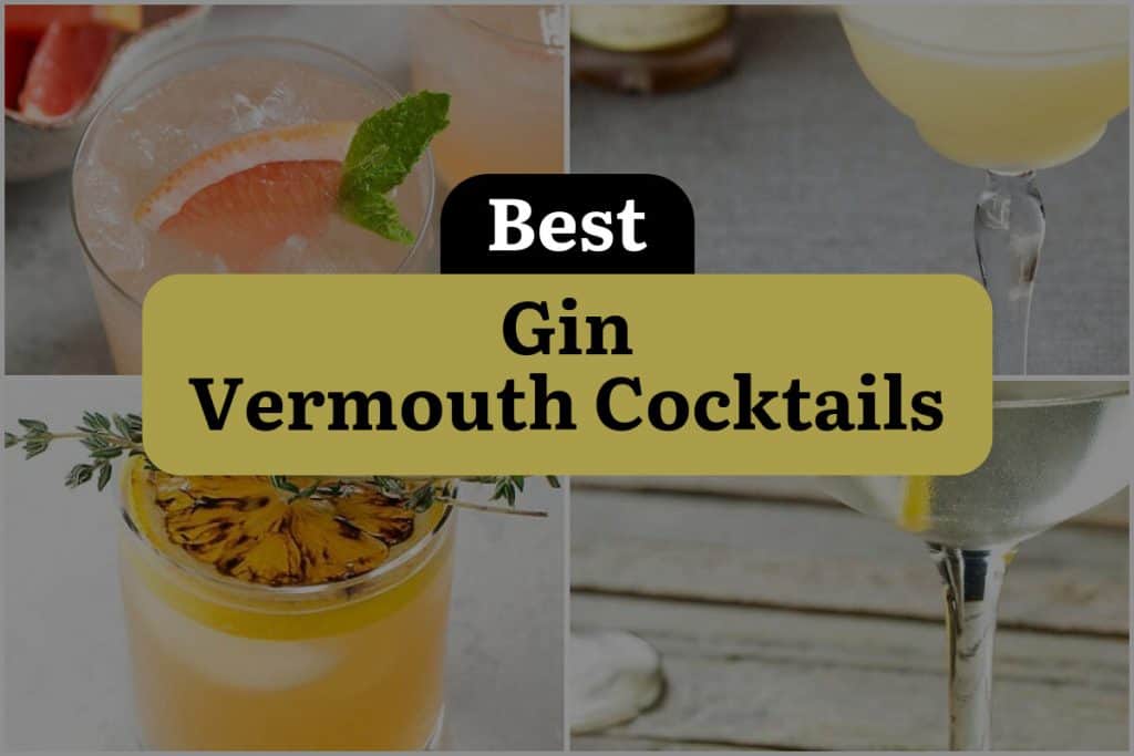 15 Gin Vermouth Cocktails to Shake Up Your Happy Hour! | DineWithDrinks