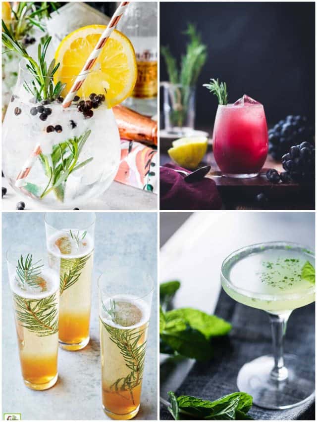 11 Juniper Cocktails To Shake Up Your Happy Hour