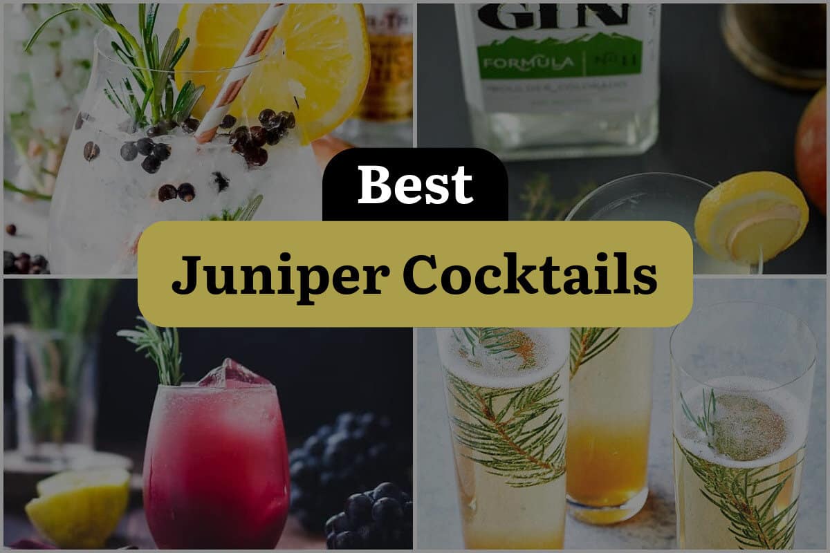 11 Best Juniper Cocktails