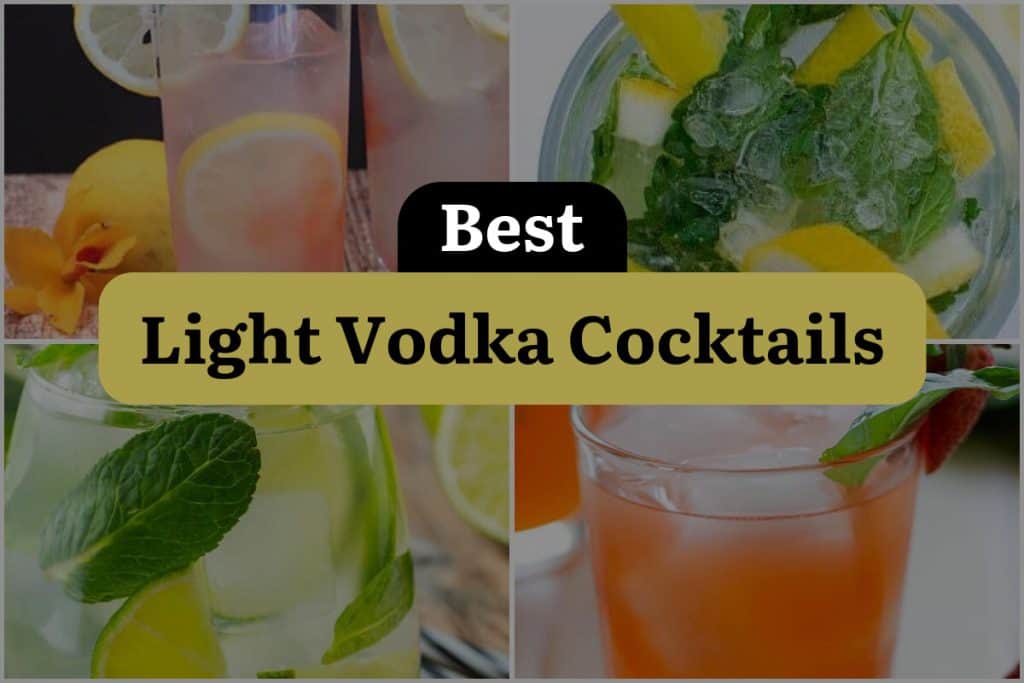 36 Light Vodka Cocktails That Won't Ruin Your Summer Body! DineWithDrinks