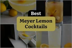24 Best Meyer Lemon Cocktails