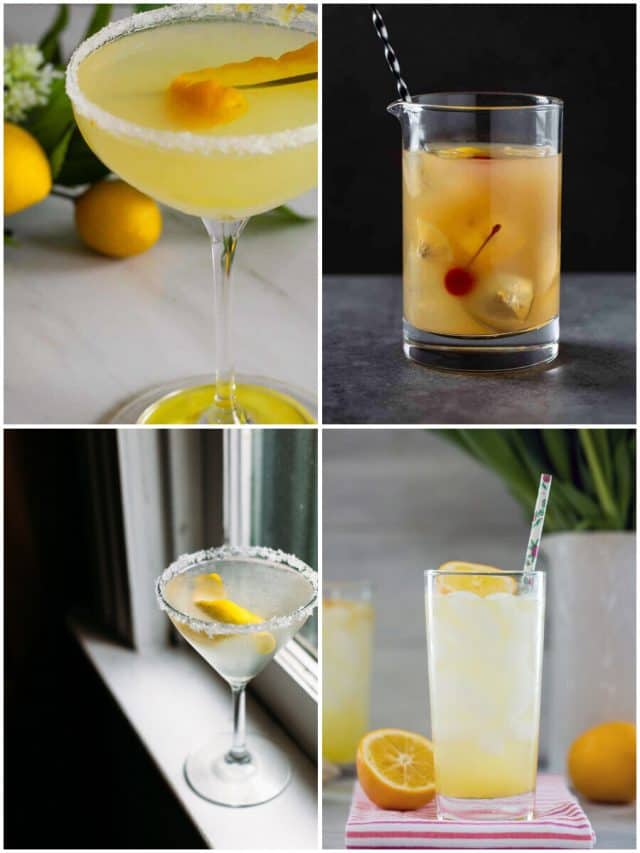 24 Meyer Lemon Cocktails That Will Brighten Up Your Party!