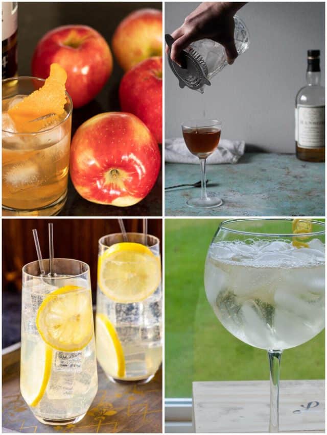 11 Old Tom Gin Cocktails That Will Shake Up Your Nightlife!
