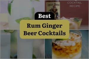 20 Best Rum Ginger Beer Cocktails