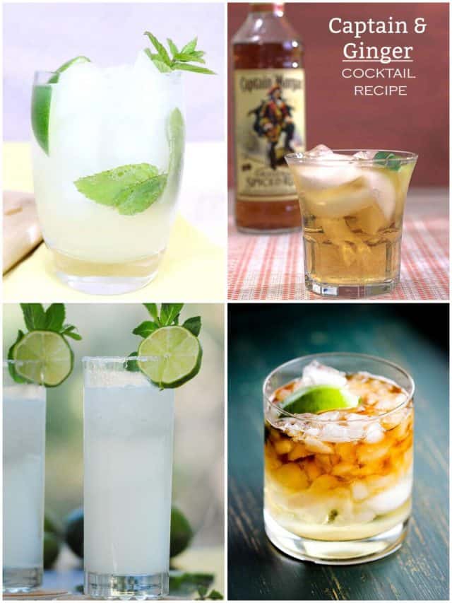 20 Rum Ginger Beer Cocktails To Spice Up Your Boozy Life!
