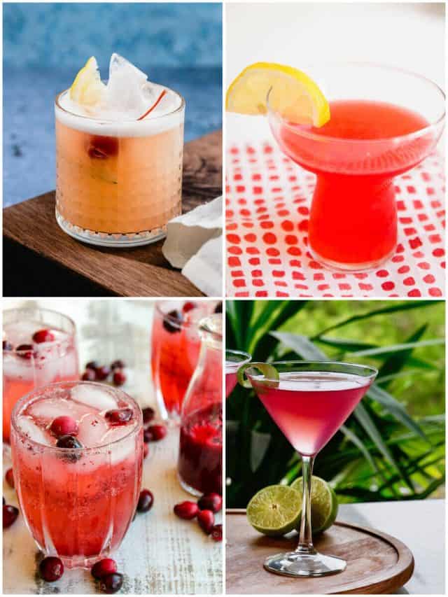 26 Tart Vodka Cocktails To Pucker Up Your Taste Buds!