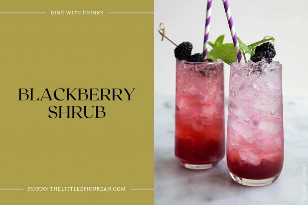 28 Blackberry Vodka Cocktails That Will Shake Up Your Night